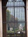 IMG_4505 copy